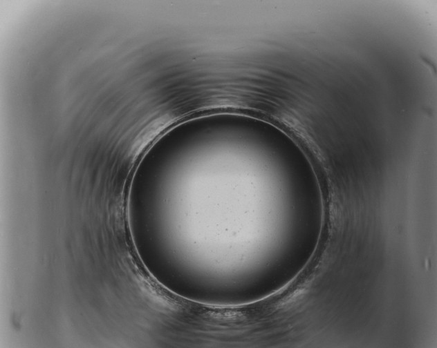 X0000103251129200809041103