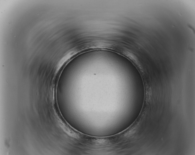X0000103251130200809041103