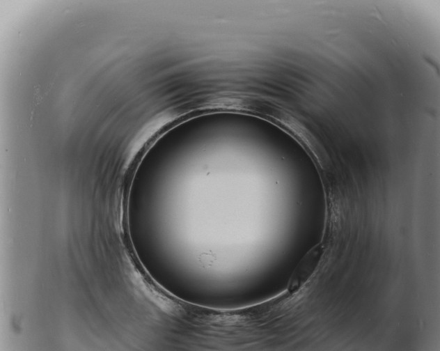 X0000103251131200809041103