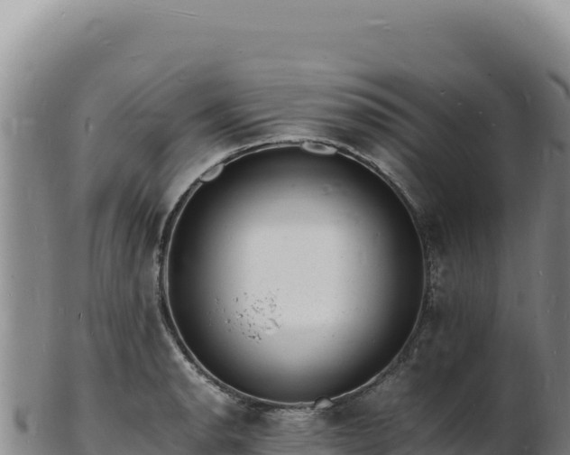 X0000103251134200809041103