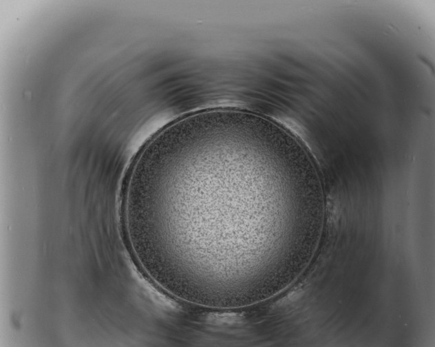 X0000103251135200809041103
