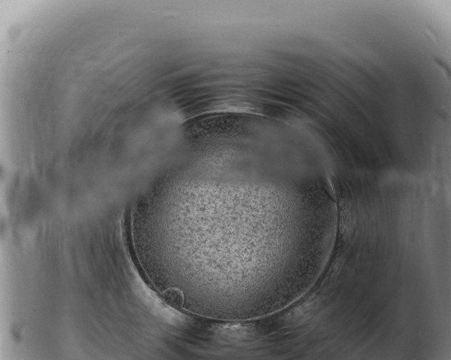X0000103251139200809041103