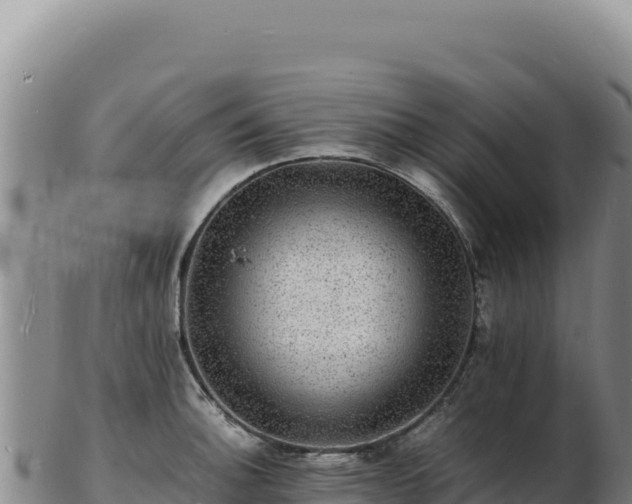 X0000103251140200809041103