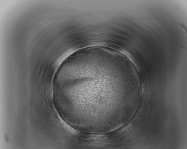 X0000103251143200809041103