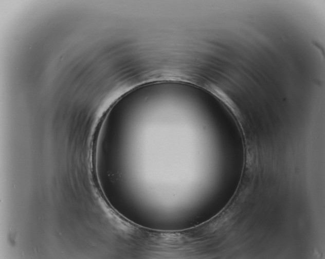 X0000103251144200809041103