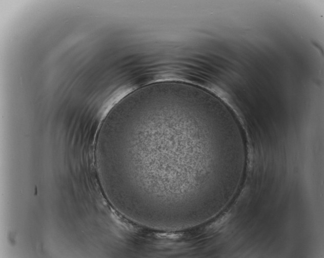 X0000103251145200809041103