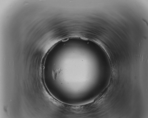 X0000103251147200809041103