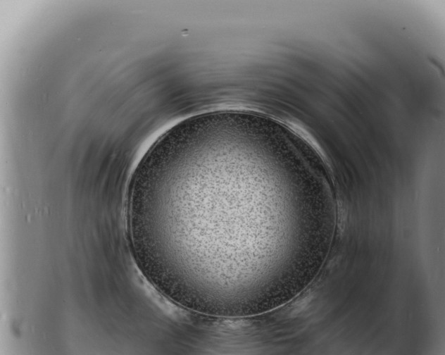 X0000103251148200809041103