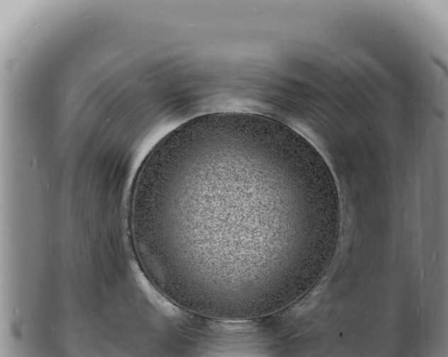X0000103251152200809041103