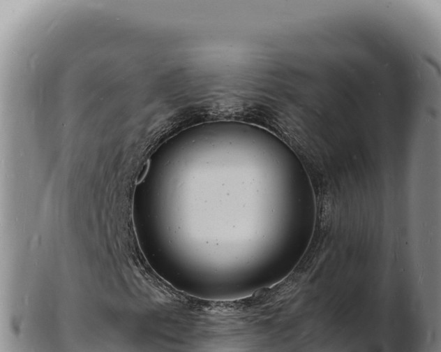X0000103251153200809041103
