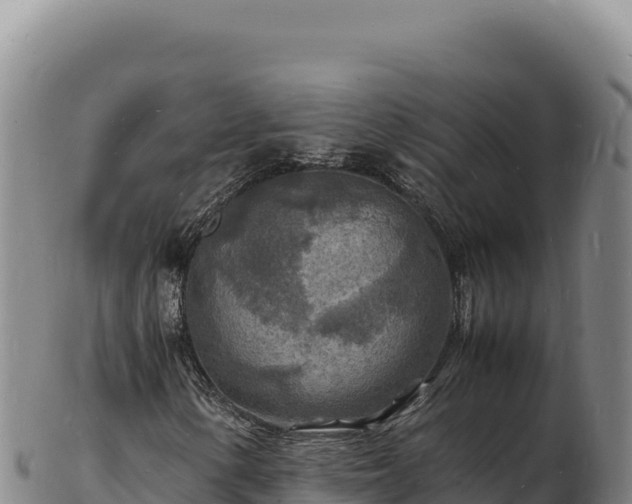 X0000103251154200809041103