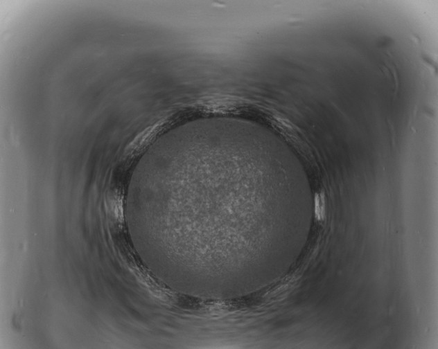 X0000103251155200809041103