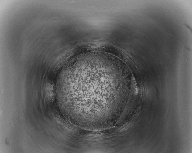 X0000103251156200809041103
