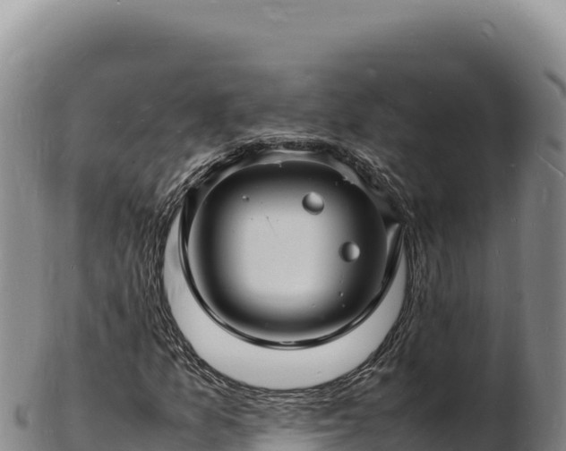 X0000103251157200809041103