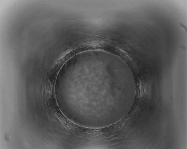 X0000103251158200809041103