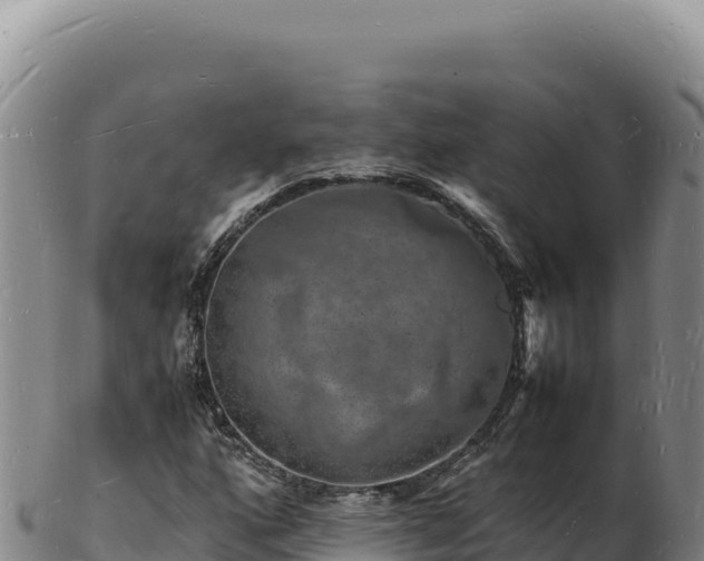 X0000103251160200809041103