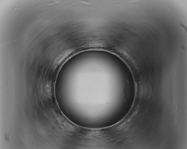 X0000103251162200809041103