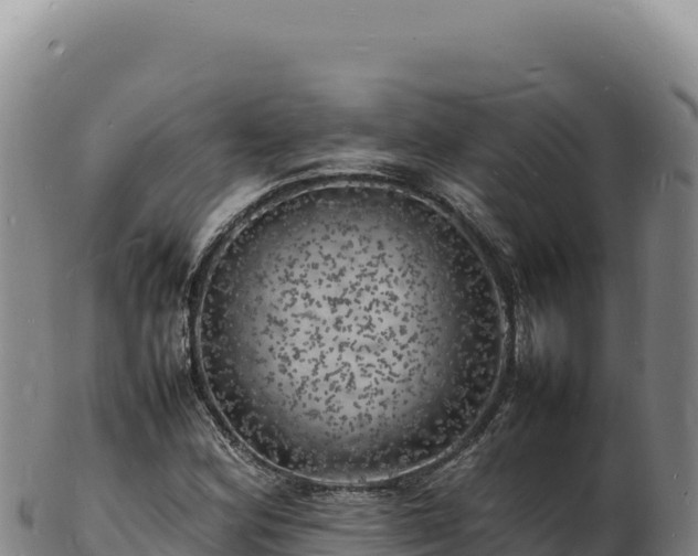 X0000103251164200809041103