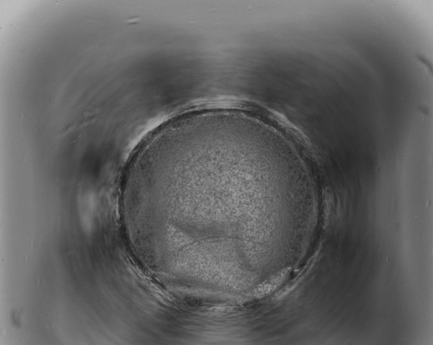 X0000103251166200809041102