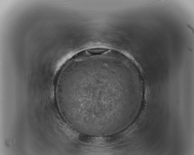 X0000103251167200809041102