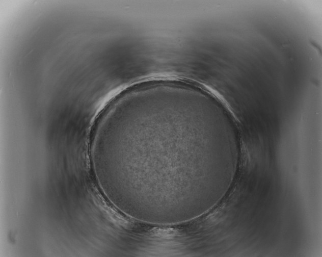 X0000103251168200809041102