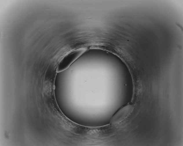 X0000103251169200809041102