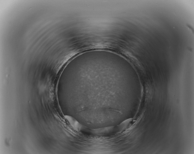 X0000103251170200809041102