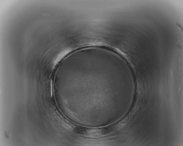 X0000103251171200809041102