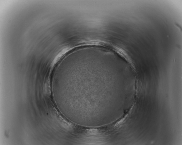 X0000103251172200809041102