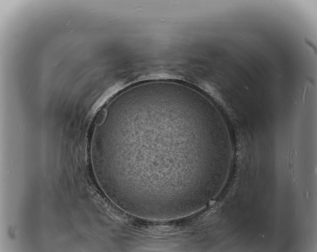 X0000103251173200809041102