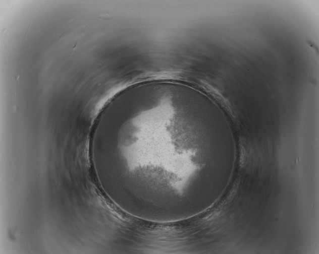 X0000103251174200809041102