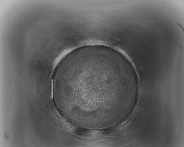 X0000103251175200809041102