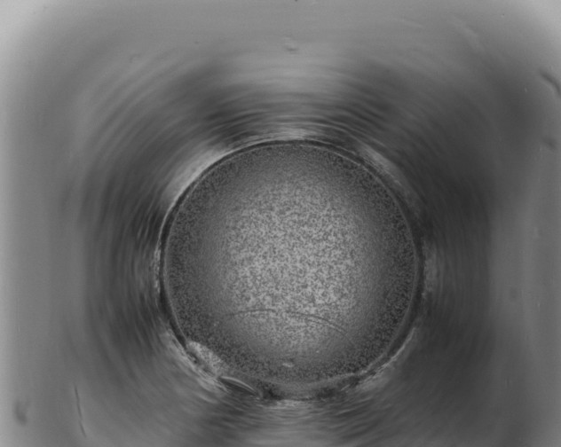 X0000103251178200809041102