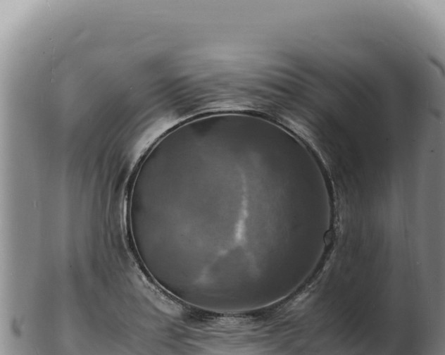 X0000103251179200809041102