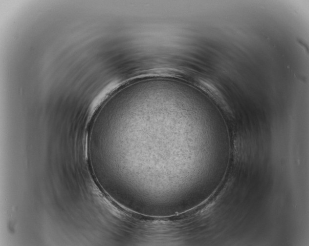 X0000103251180200809041102