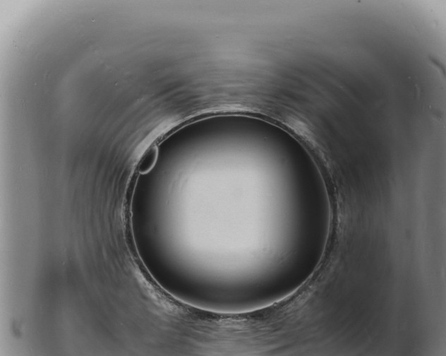 X0000103251181200809041102