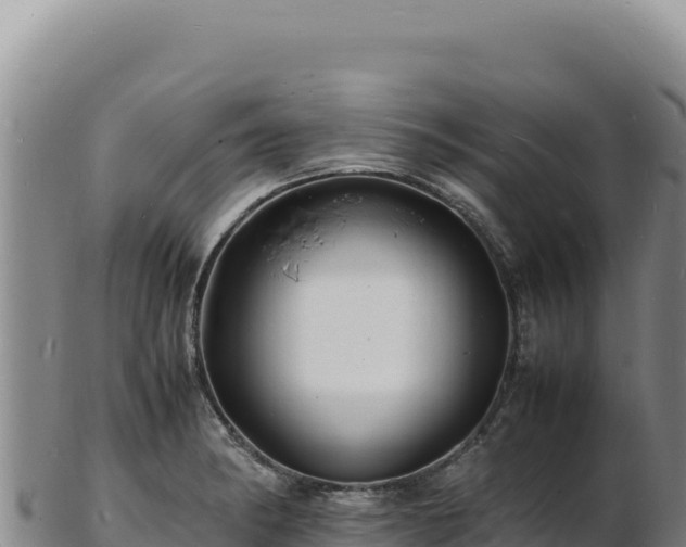 X0000103251182200809041102