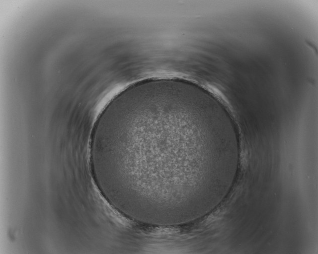 X0000103251183200809041102