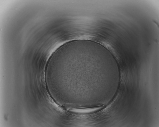 X0000103251184200809041102