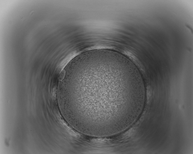 X0000103251185200809041102
