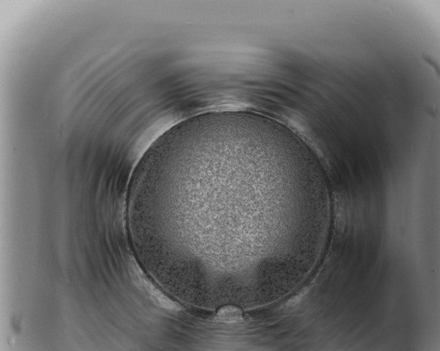 X0000103251186200809041102