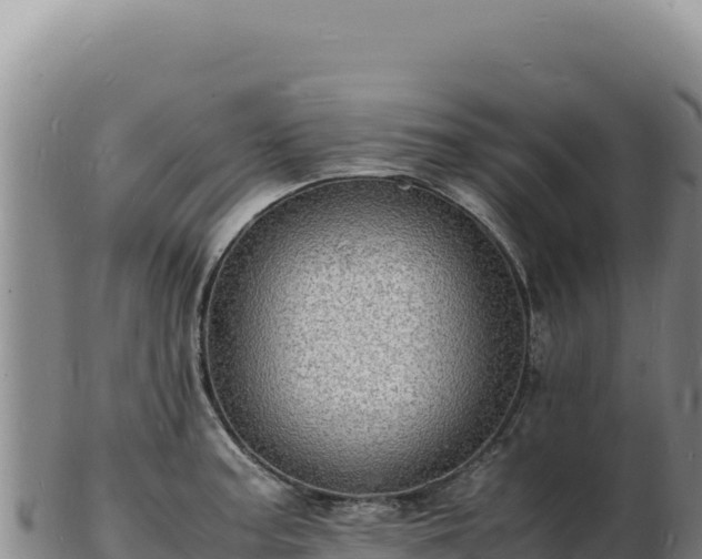 X0000103251187200809041102