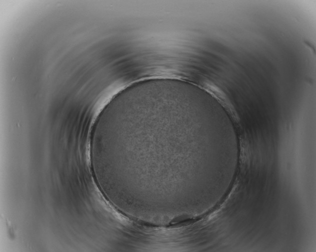 X0000103251188200809041102