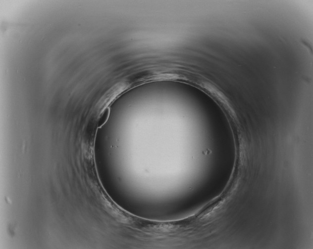 X0000103251193200809041102
