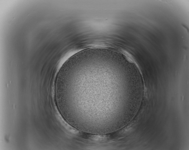 X0000103251195200809041102