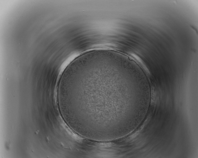 X0000103251196200809041102