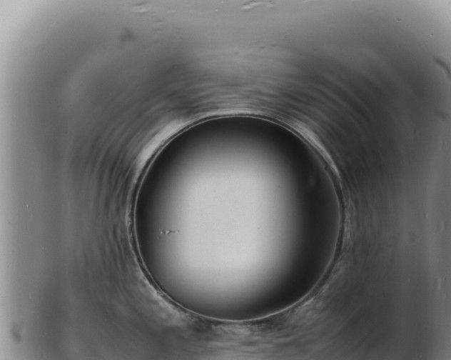 X0000103251197200809041102