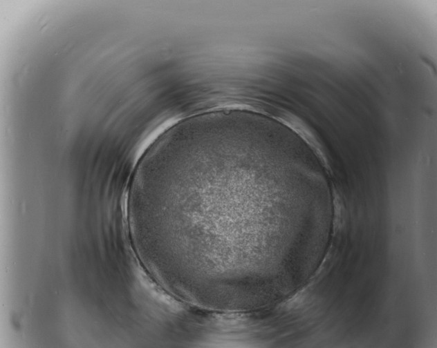 X0000103251198200809041102