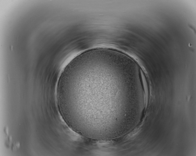 X0000103251199200809041102