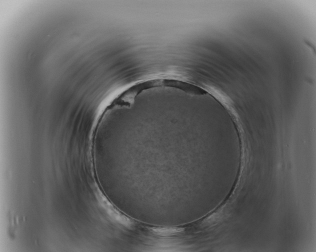 X0000103251200200809041102